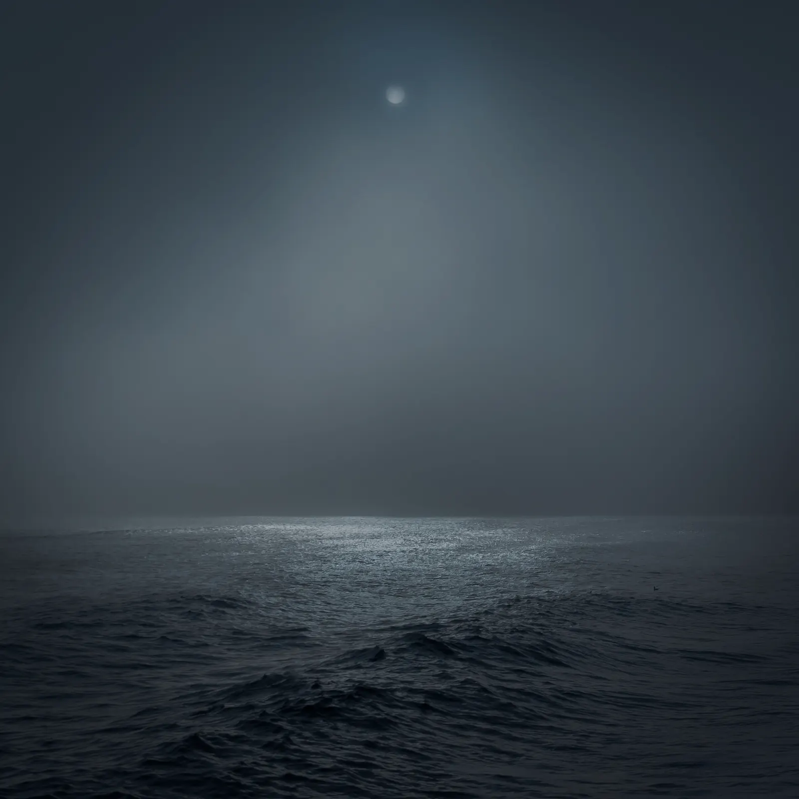 Moonlit sea